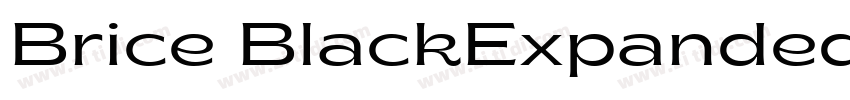 Brice BlackExpanded字体转换